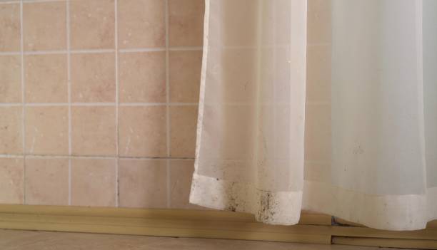 Best Water Damage & Mold Remediation  in Blue Mound, TX