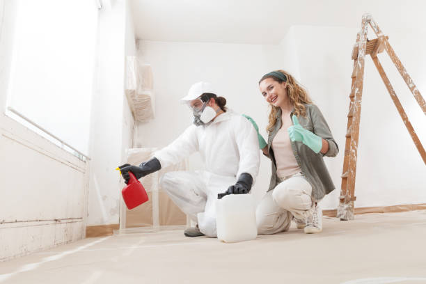 Best Mold Prevention Services  in Blue Mound, TX